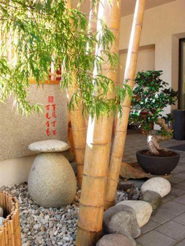 Bed and Breakfast Garni Cremona Bresanona Exterior foto
